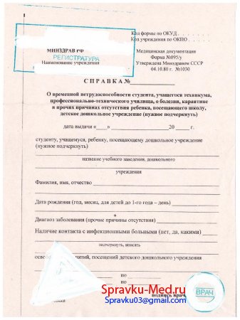Образец справки 095у для студентов