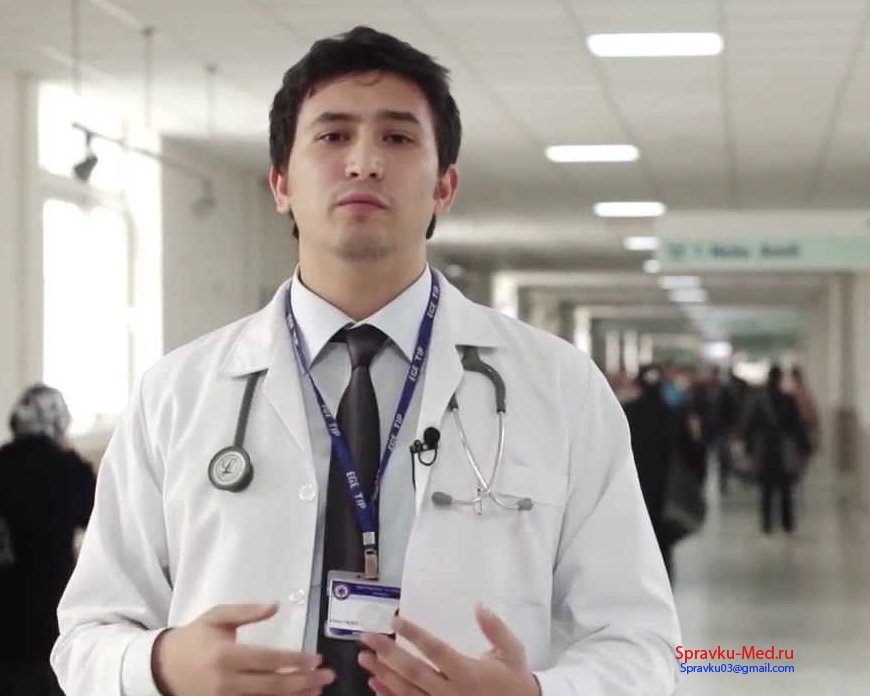 Наши цены на справки