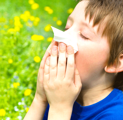Купить справку о посещении врача аллерголога