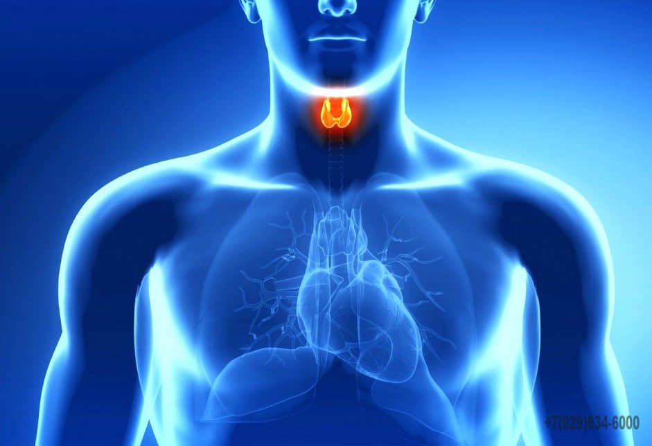 Купить справку о приеме у врача-эндокринолога